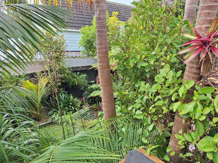 5/9 Wright Road Point Chevalier_16