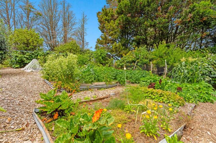 43 Settlement Road Kaiwaka_8