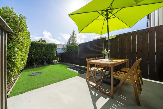 Vendor Moving South Island - Must Sell