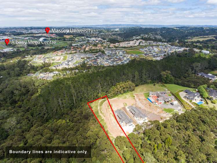 249c Lonely Track Road Albany Heights_2