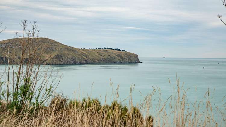 Lot 1 Camp Bay Road Purau_18