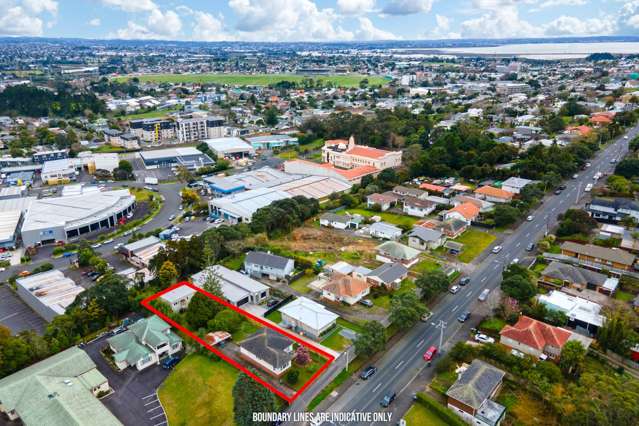 251 Blockhouse Bay Road Avondale_2