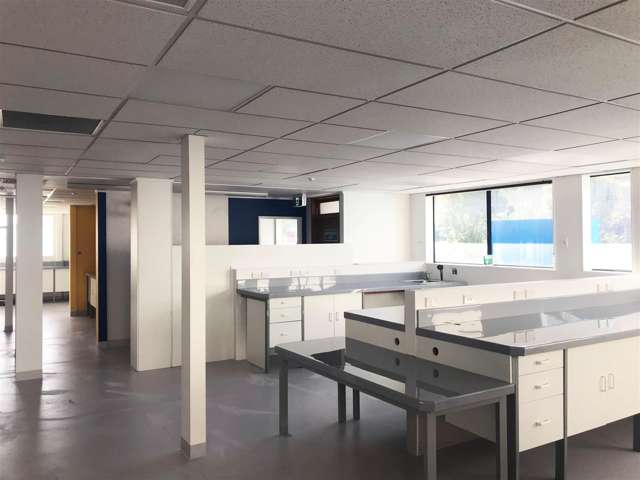 36b Seaview Road Seaview_3