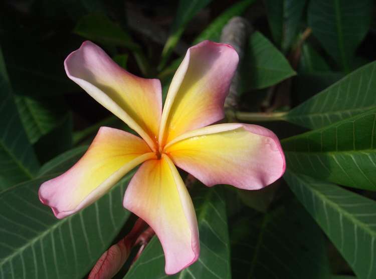 330 West Coast Road Awanui_18