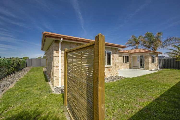 41 Squire Drive Awatoto_14