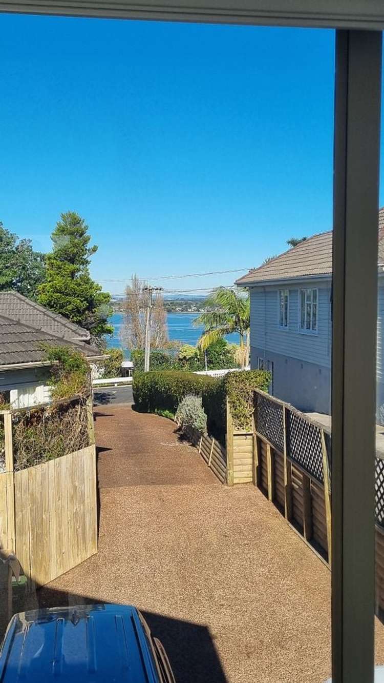 80A Frederick Street Hillsborough_6