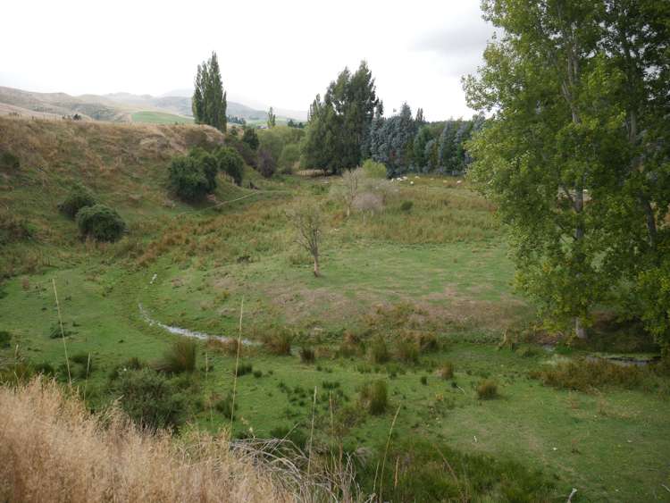 1390 Dunback-Morrisons Road Waynes_33