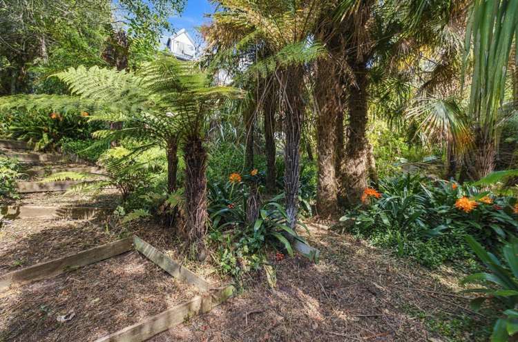 137 Sumnervale Drive Sumner_23