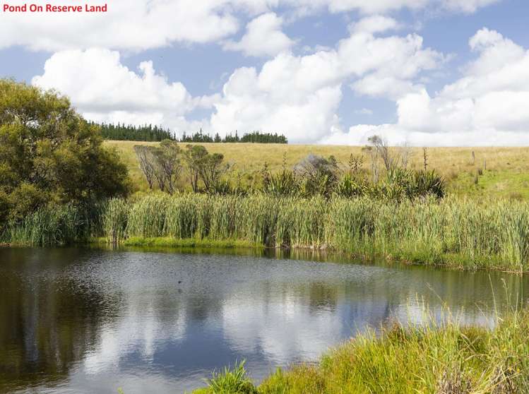 33 Taipa View Road Taipa_13