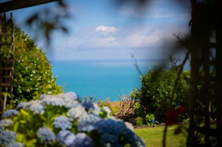 300b Whaanga Road Raglan_24