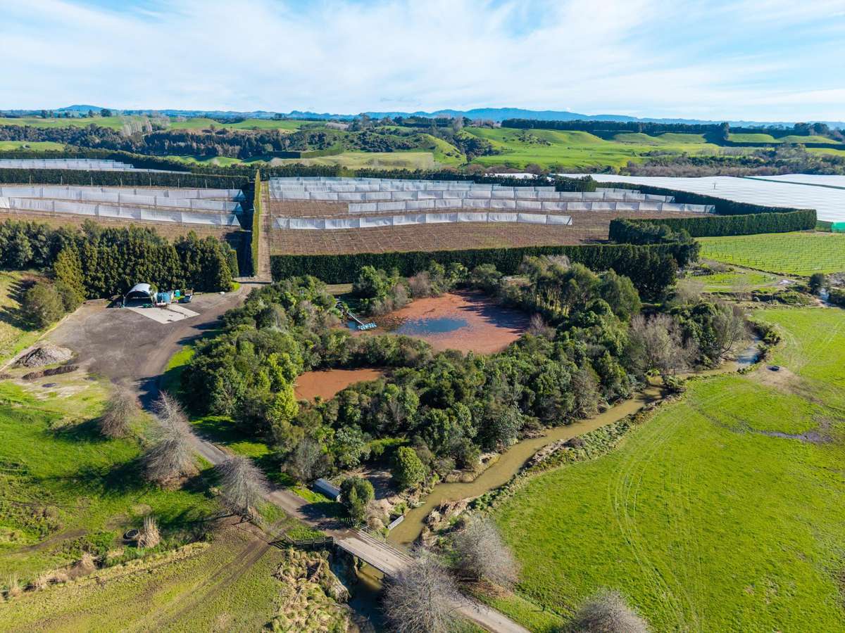 80 Roydon Downs Road_3