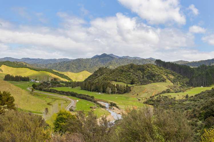 220 Kaimarama Road Whitianga_30