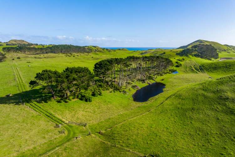 386 Rehutai Road Dargaville Surrounds_9