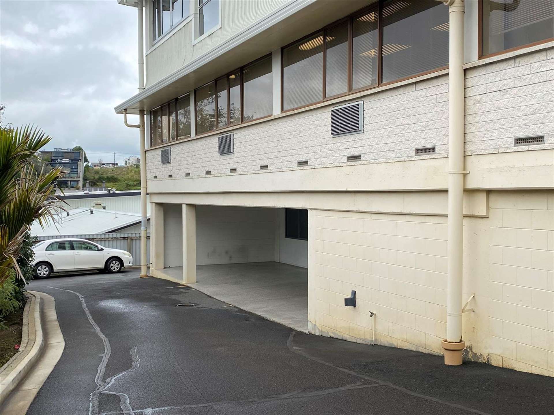 Basement, 6 Hill Street Hamilton Central_0