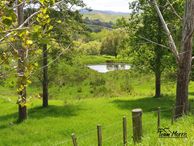 Water access and views galore!