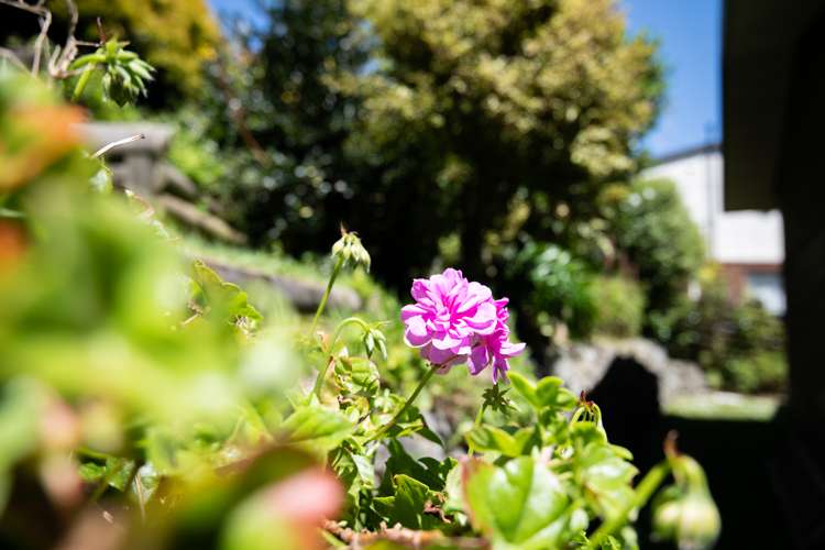 72 Churton Drive Churton Park_20