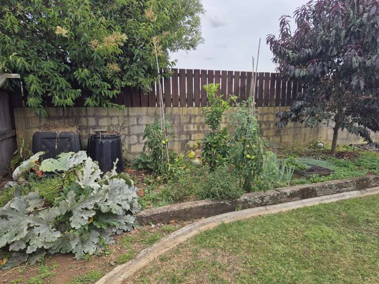 71f Queen Street Pukekohe_17