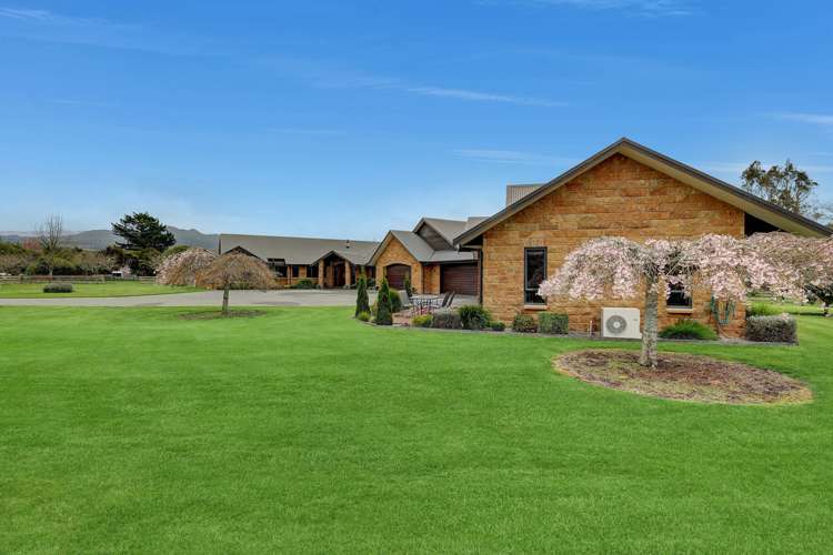 681 Beechey Street Pirongia_5