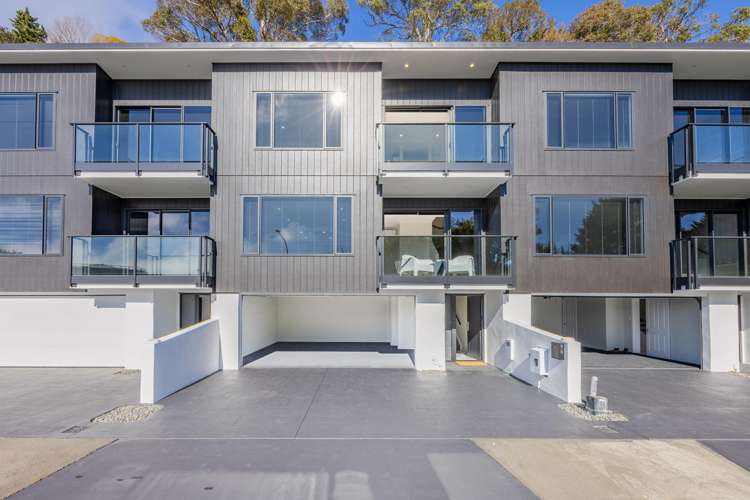 96 Battery Road Ahuriri_1