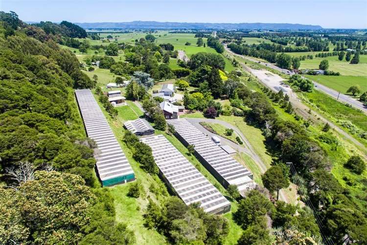 1105 State Highway 30 Whakatane_20