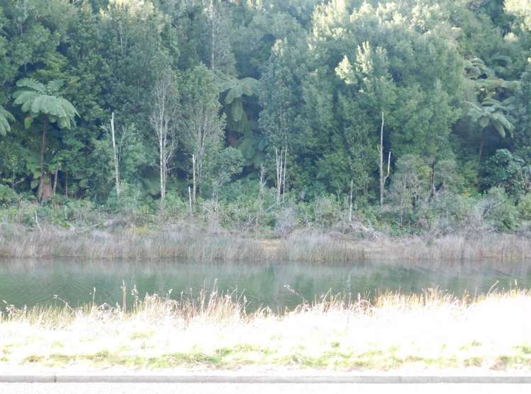 73 State Highway 30 Te Kuiti_14