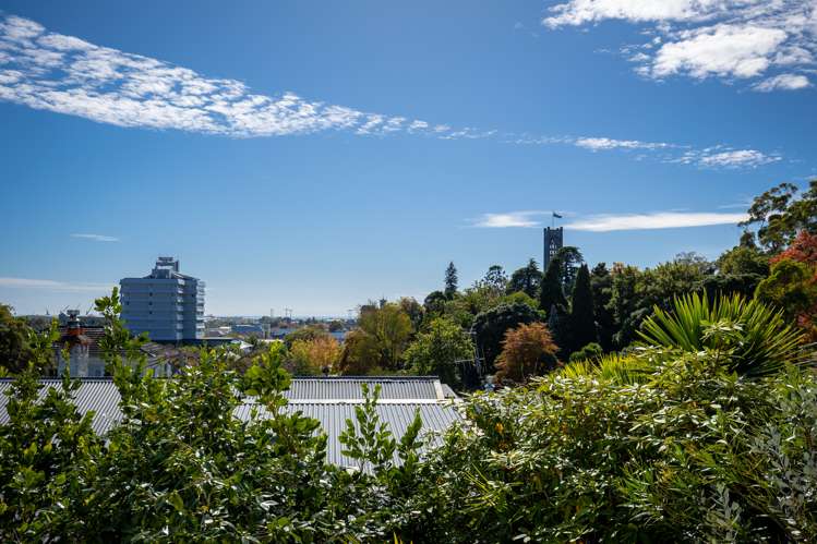 390 Trafalgar Street Nelson City_17