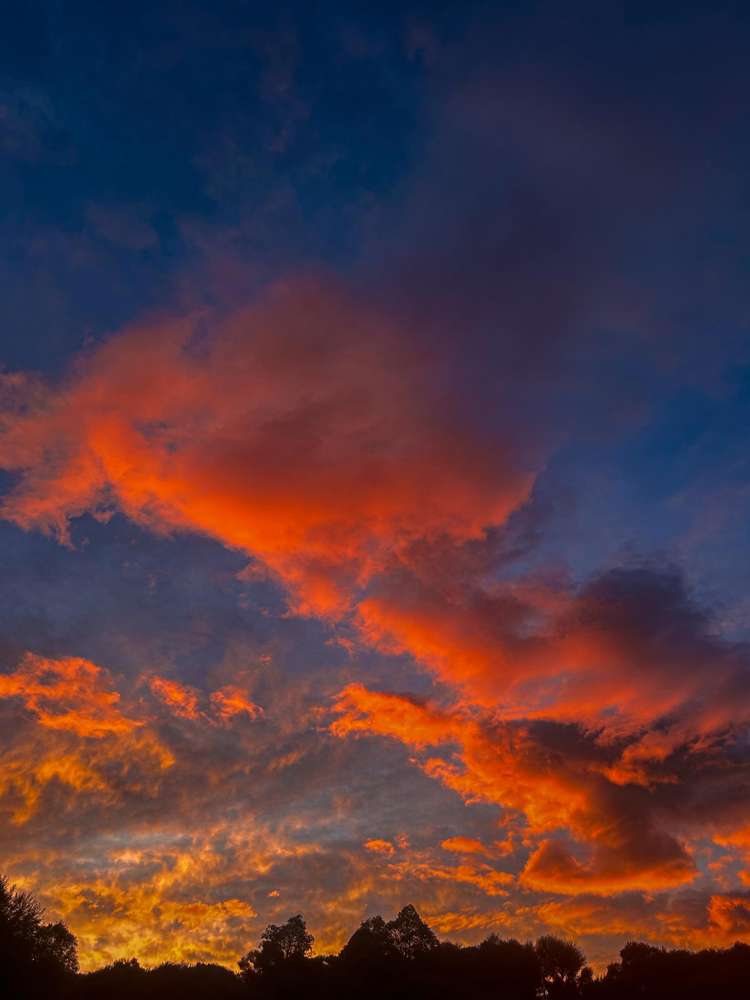 439 Engelbrechts Road Hunter_53