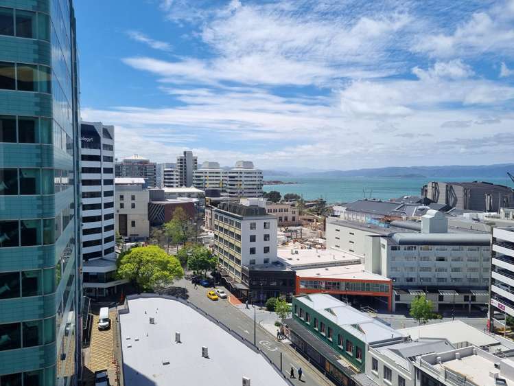 34 Manners Street Te Aro_9