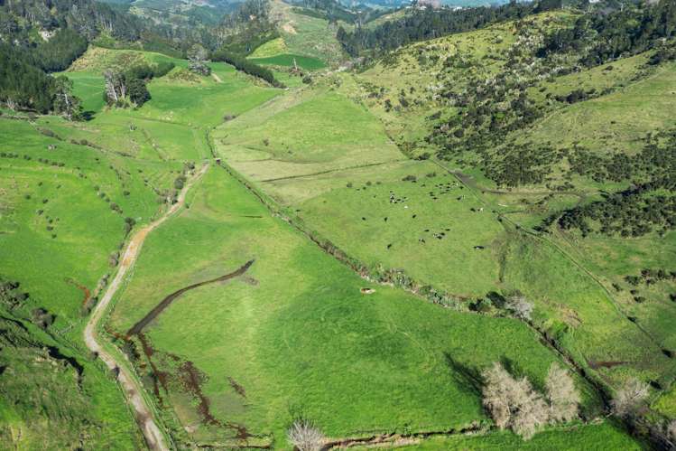 892d Welcome Bay Road Papamoa_34