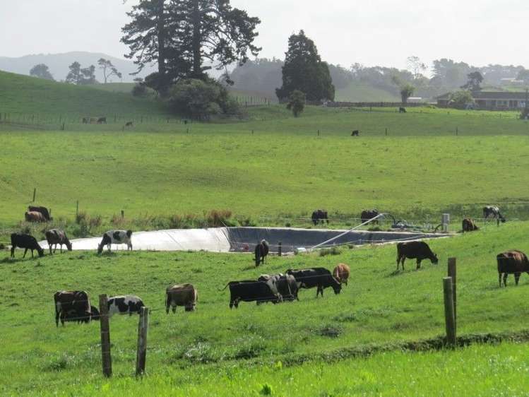 114 Pukekapia Road Ruawaro_11