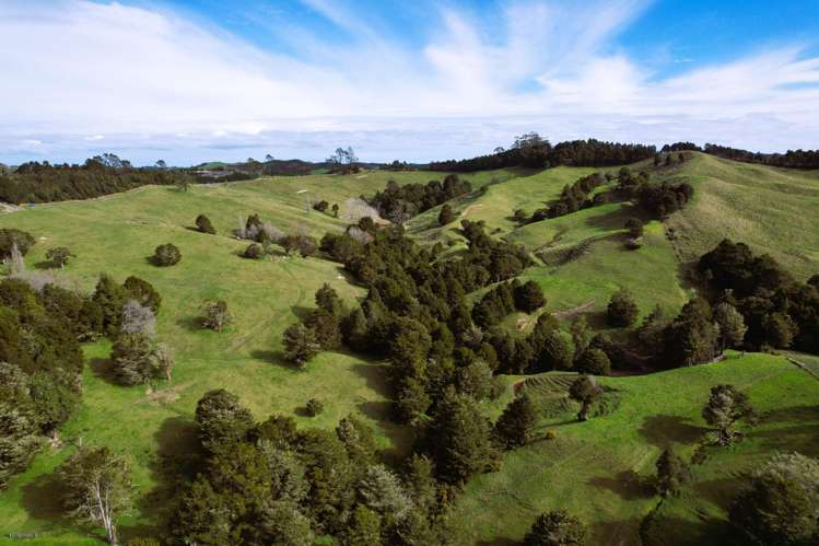 440 Arcadia Road Maungaturoto_7