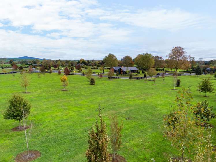 - Highgrove Station Road Matamata_20