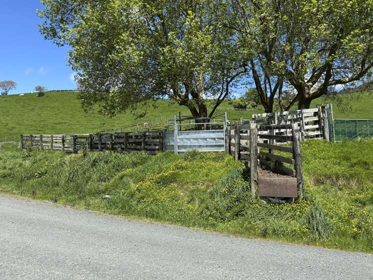 3/585 O'Shea Road Pirongia_26