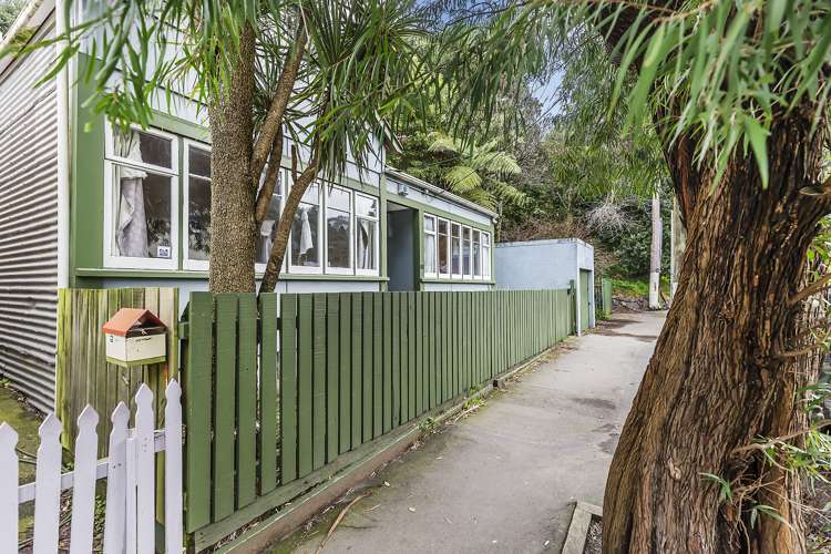 181 Aro Street Aro Valley_11