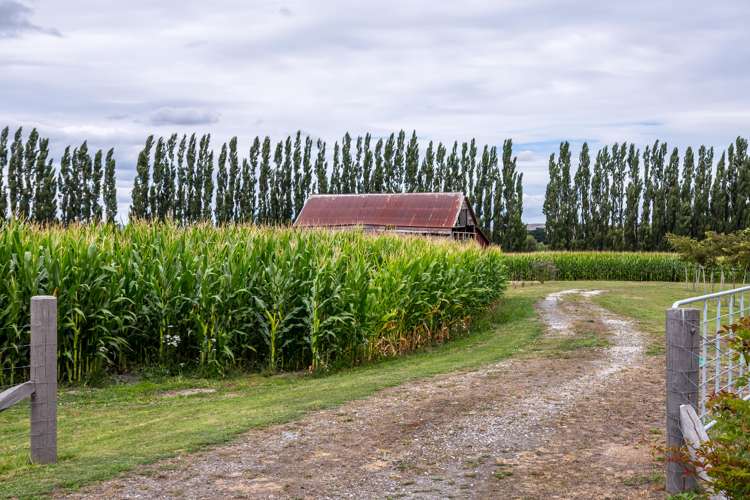 2520 State Highway 2 Greytown_7