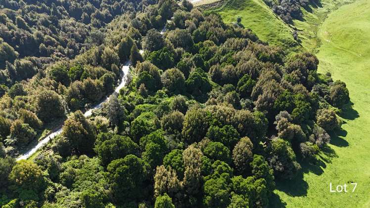 Lot 3 and 7/1005 Rangitatau East Road Kai Iwi_16