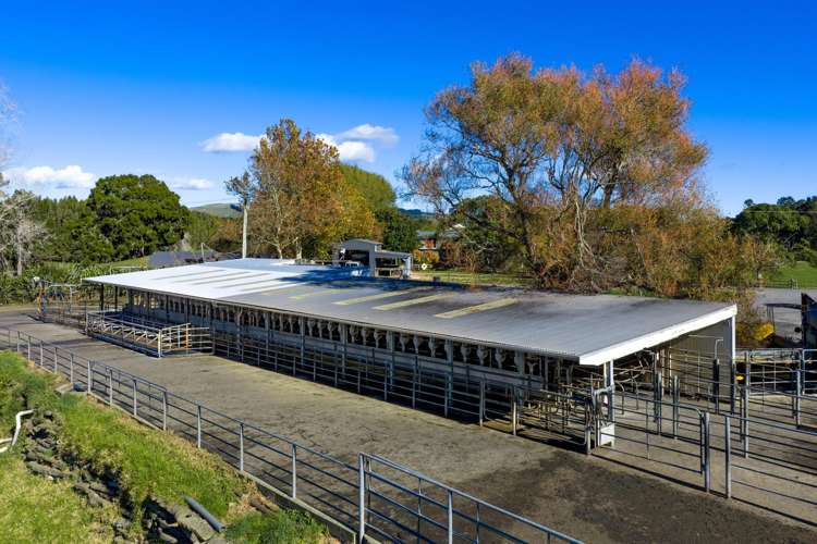 141 Te Mata Road Raglan_41