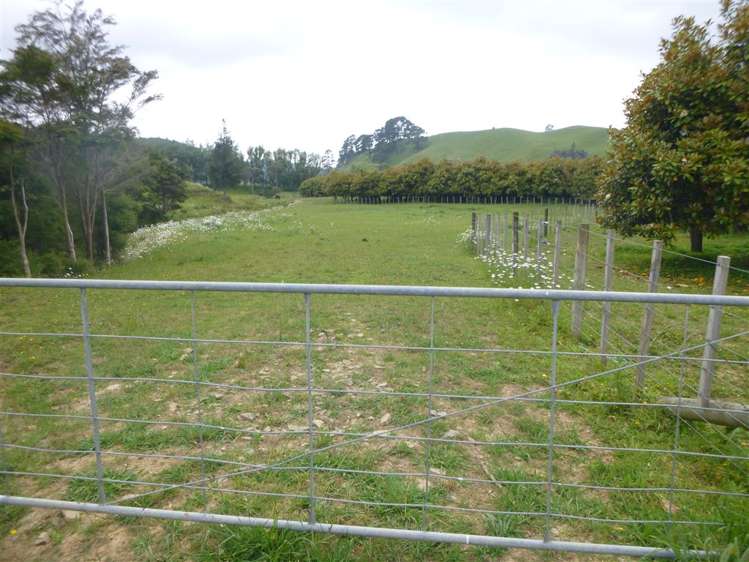 336 Wentworth Valley Road Whangamata_23