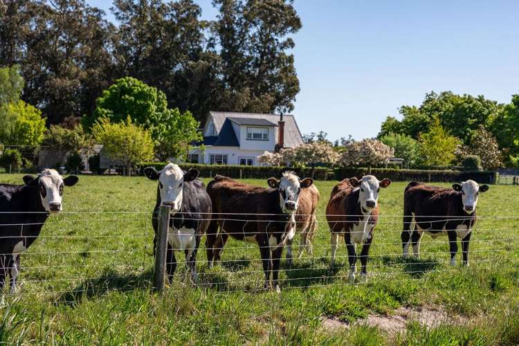 32 Ashton Road Ashburton_23