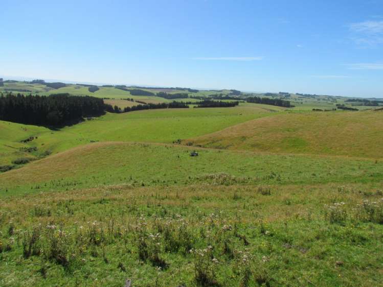 219 Beacon Hill Road Clinton and Surrounds_8