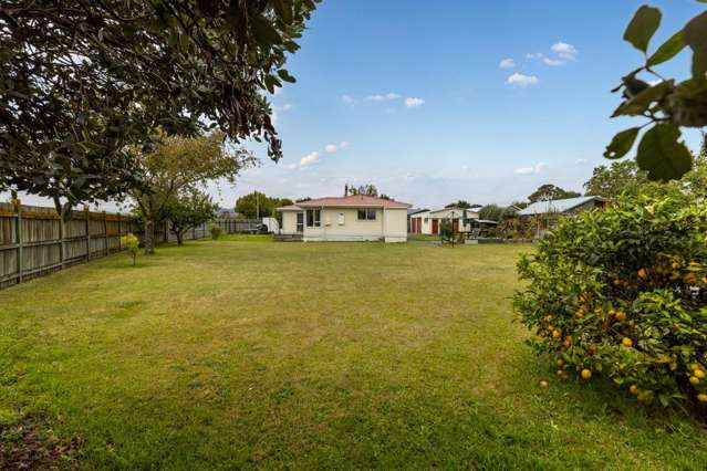 Generous Section, Endless Options