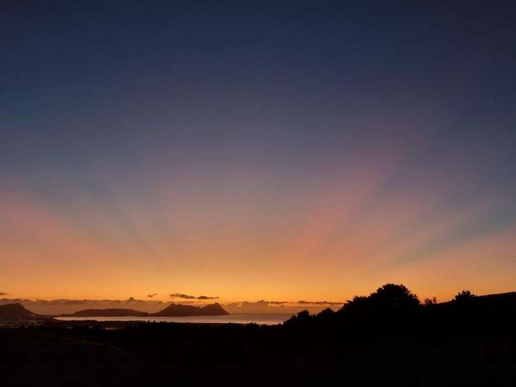 413 Prescott Road Ruakaka_28