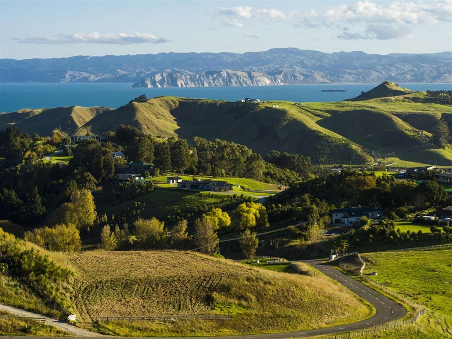 Wheatstone Road Wainui_0