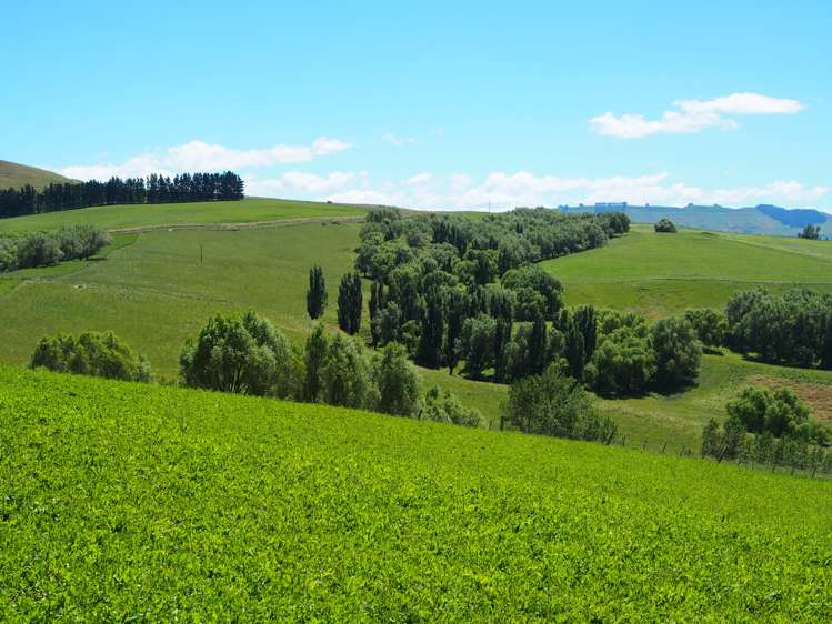 456 Ngawaka Road Central Hawkes Bay Country_18