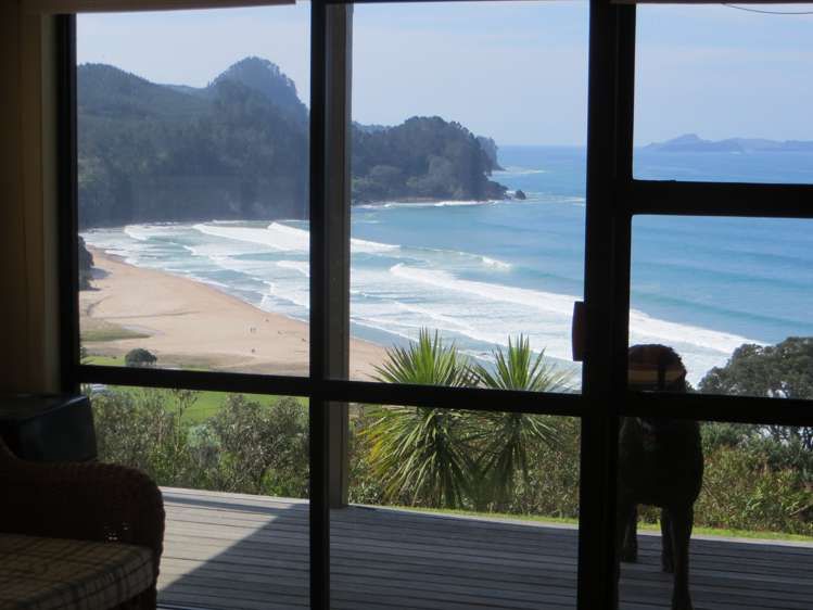 420 Onemana Drive Onemana_0