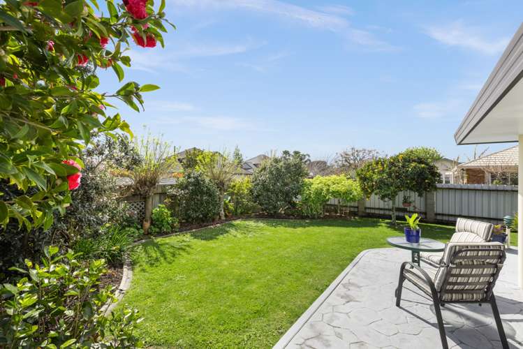 191 Auckland Road Greenmeadows_13