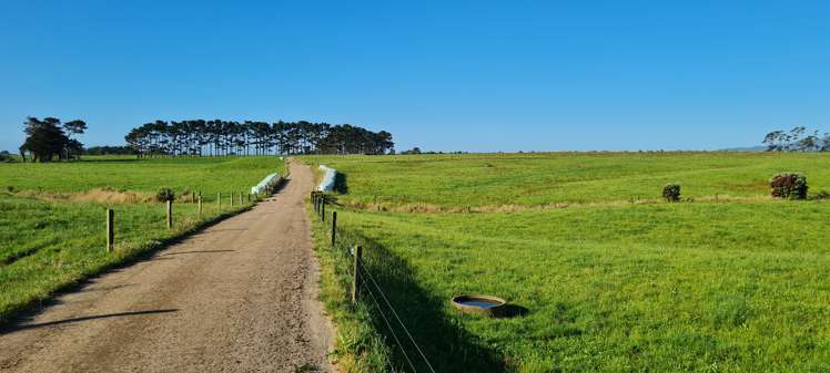 331 Warea Road Warea_18