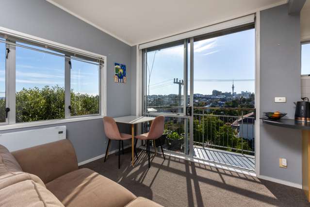 7/90 Crummer Road Grey Lynn_3