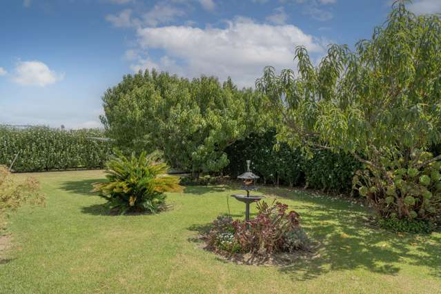 26 Springbok Ave Whitianga_4