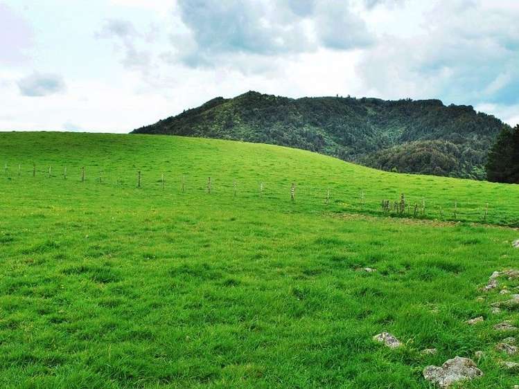 428 West Road Mauriceville_23